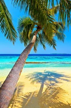 Tropical beach Stock-Fotos