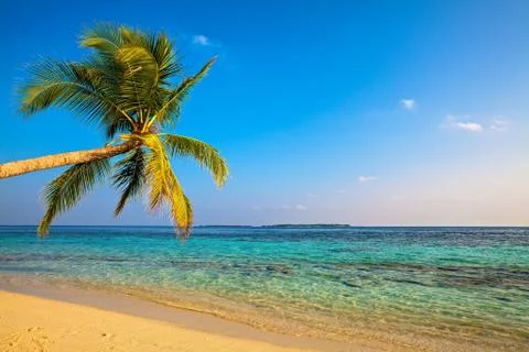 Tropical beach Foto stock