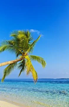 Tropical beach 写真素材