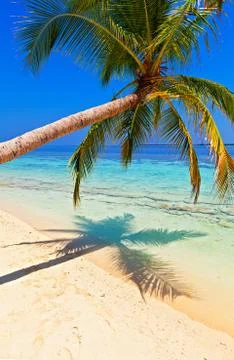 Tropical beach Photos