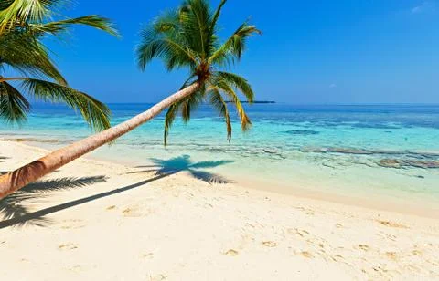 Tropical beach 스톡 사진