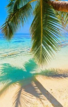 Tropical beach 스톡 사진