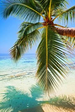 Tropical beach Foto stock