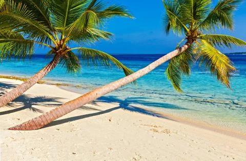 Tropical beach 스톡 사진