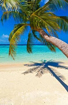 Tropical beach 写真素材