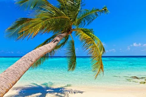 Tropical beach 스톡 사진