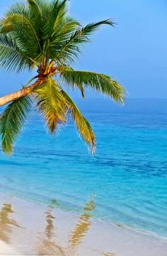 Tropical beach Foto stock