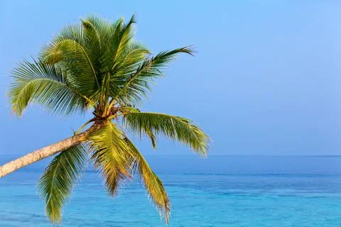 Tropical beach Stock-Fotos