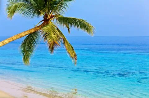Tropical beach Foto stock