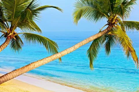 Tropical beach 스톡 사진