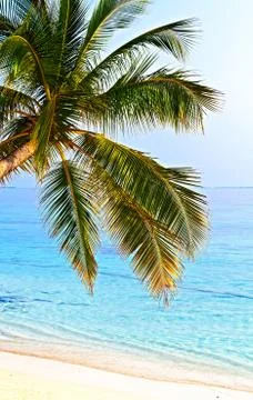 Tropical beach 스톡 사진