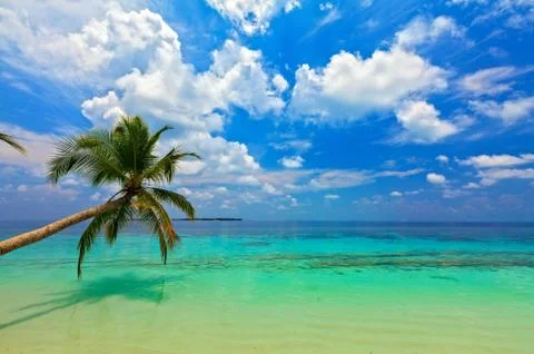 Tropical beach Foto stock