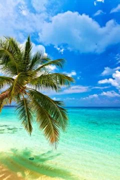 Tropical beach Foto stock