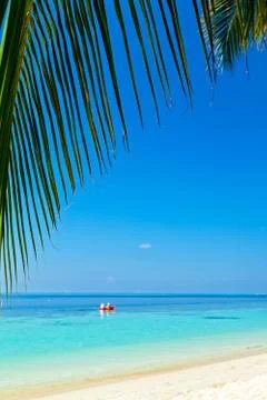 Tropical beach 스톡 사진