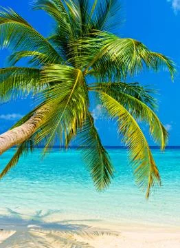 Tropical beach 스톡 사진
