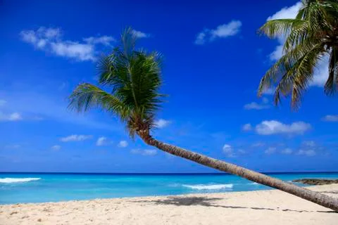 Tropical beach Stock Photos