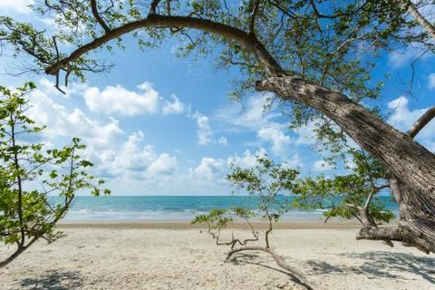 Tropical beach Foto stock