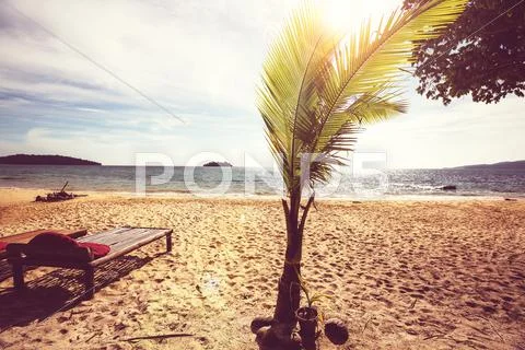 Tropical beach Stock Photos