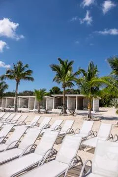 Tropical beach Stock Photos
