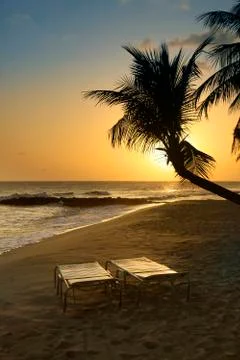 Tropical beach Stock Photos