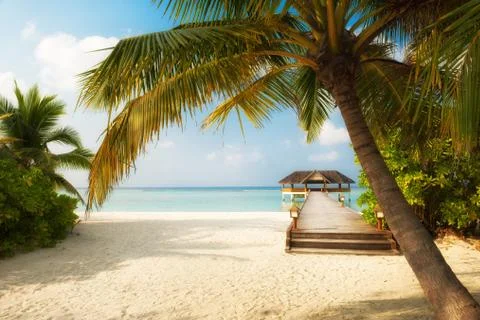 Tropical Beach Stock Photos