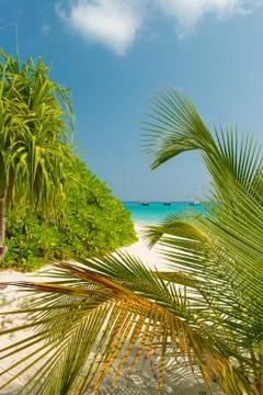 Tropical Beach Stock Photos