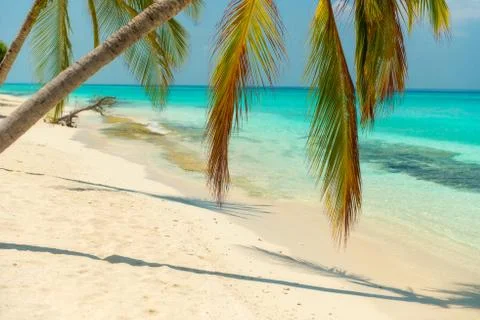 Tropical Beach Stock Photos