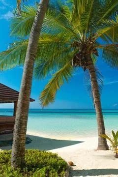 Tropical beach Stock Photos