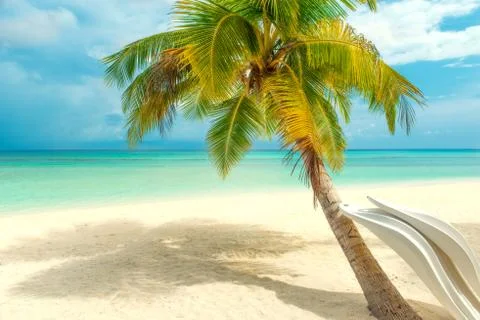Tropical beach Stock Photos