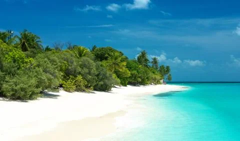 Tropical beach Stock Photos