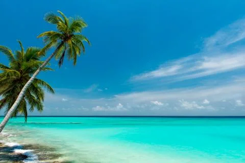 Tropical beach 스톡 사진