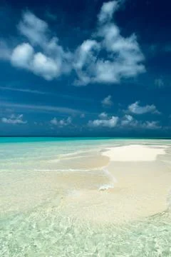 Tropical Beach Stock Photos