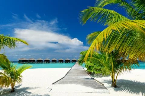 Tropical Beach Stock Photos
