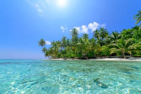 Tropical beach Stock Photos