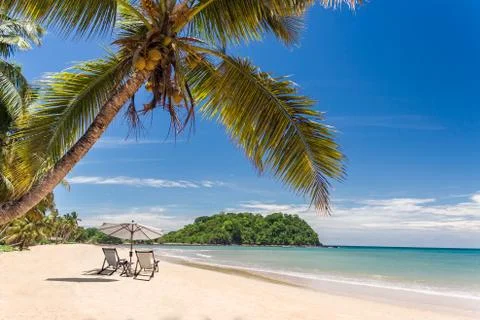 Tropical beach Stock Photos