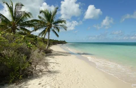 Tropical beach Foto stock