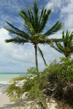 Tropical beach Stock Photos