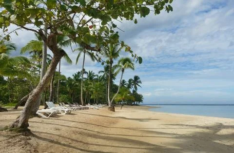 Tropical beach Stock Photos