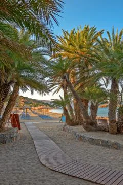 Tropical beach Stock Photos