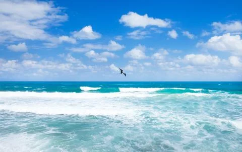 Tropical beach Foto stock