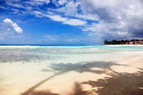 Tropical beach Stock Photos