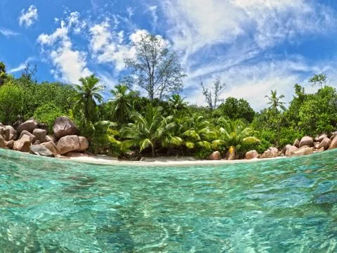 Tropical beach 库存照片