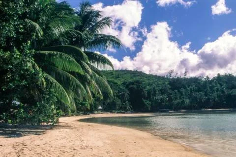 Tropical beach Stock Photos