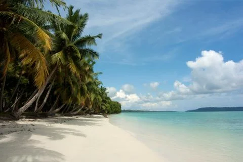 Tropical Beach Stock Photos