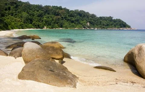Tropical Beach Stock Photos