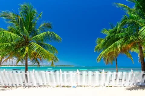 Tropical beach Foto stock