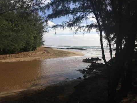 Tropical Beach Stock Photos
