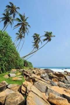 Tropical beach 写真素材