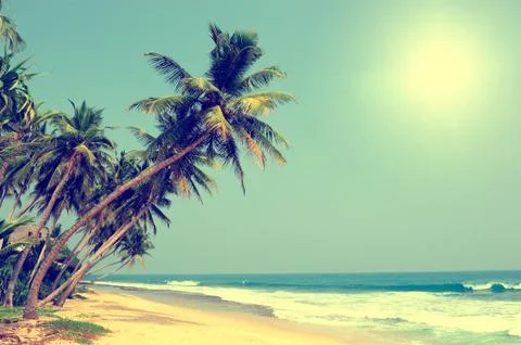 Tropical beach Fotos de archivo