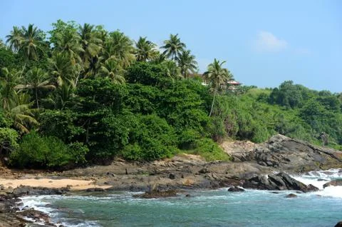 Tropical beach Foto stock